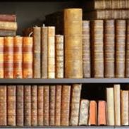 القضايا الدستورية