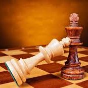 قضايا الشركات